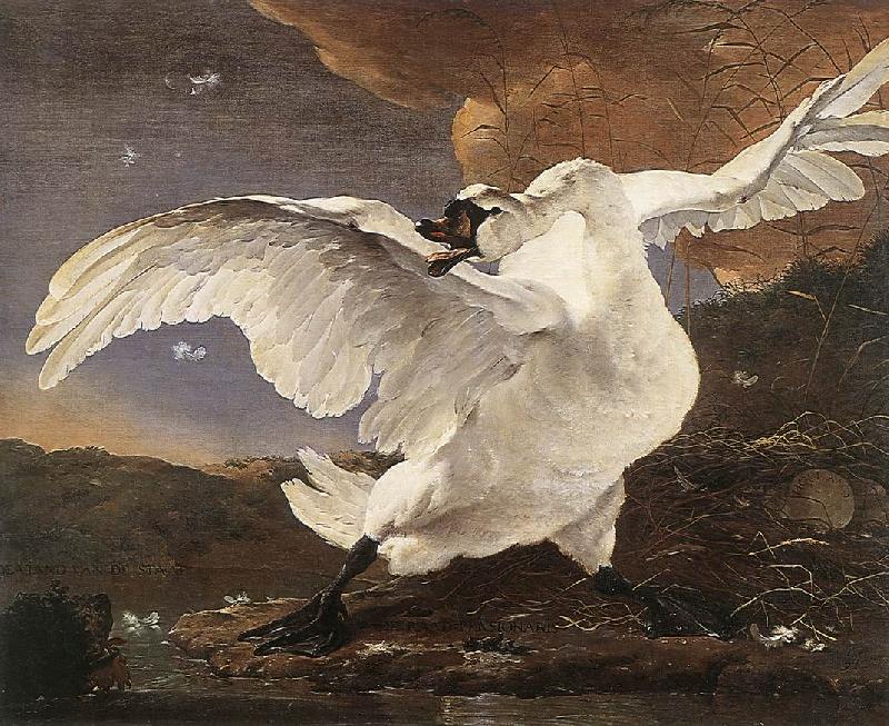 ASSELYN, Jan The Threatened Swan china oil painting image